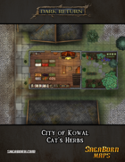 Map - City of Kowal - Cat's Herbs