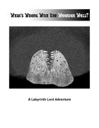 What's Wrong With The Woonder Well?: A Labyrinth Lord Adventure