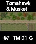Dirt track #7 TOMAHAWK & MUSKET Series for Skirmish rules