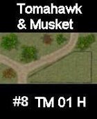 Dirt track #8 TOMAHAWK & MUSKET Series for Skirmish rules