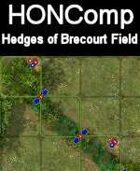 HONComp Hedges of Brecourt Field
