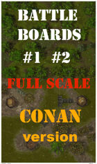BattleBoards #1 #2 The Gate Of The Swamp CONAN Version