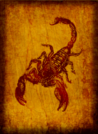 RPS Cards: Scorpion