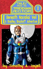 Beneath Narsalia's Veil: A Bradley Brackett Adventure (Tales From the Triddian Sector #1)