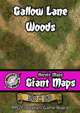 Heroic Maps - Giant Maps: Gallow Lane Woods