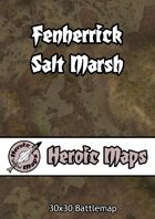 Heroic Maps - Fenherrick Salt Marsh