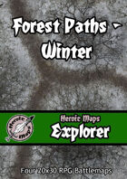 Heroic Maps - Explorer: Forest Paths Winter
