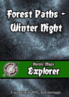 Heroic Maps - Explorer: Forest Paths Winter Night
