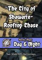 Heroic Maps - Day & Night: The City of Shawarie - Rooftop Chase