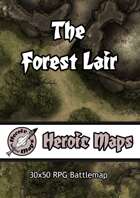 Heroic Maps - The Forest Lair