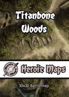 Heroic Maps - Titanbone Woods