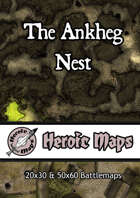 Heroic Maps - The Ankheg Nest