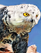 Octavirate Stock Collection 23: Owlbears