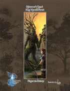 SQ2: Sojourner's Quest, Wynold Forest; The Swamp of Nagarren