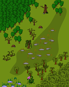 Mapping Symbols - DF Vegetation