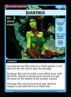 Dianthus - Custom Card
