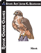Stock Art: Blackmon Hawk