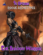 5e Options: Rogue Archetypes - Shadow Warrior