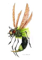 RPG Fantasy Creature, Evil Wasp