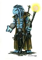 RPG Fantasy Character, Male, Dragonid Wizard