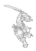 RPG Fantasy Character, male, Elf warrior