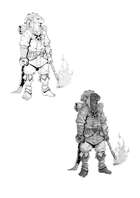 RPG Fantasy Character, Male, Dragonid Wizard