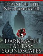 F/FN08 - Swamp (With Light Rain) - Forest of the Necromancer - Darkraven RPG Soundscape