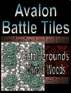 Avalon Battle Tiles, Winter Woods Battlegrounds