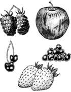 Filler Art - Fruit