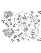 Map - Village 32