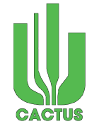 Cactus Game Design
