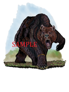 Druid - Bear: Stock Art