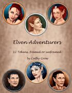 Elven Adventurers