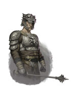 Filler spot colour - character: knight in wolf armour - RPG Stock Art