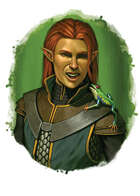 Filler spot colour - character: elf sorcerer with familiar - RPG Stock Art