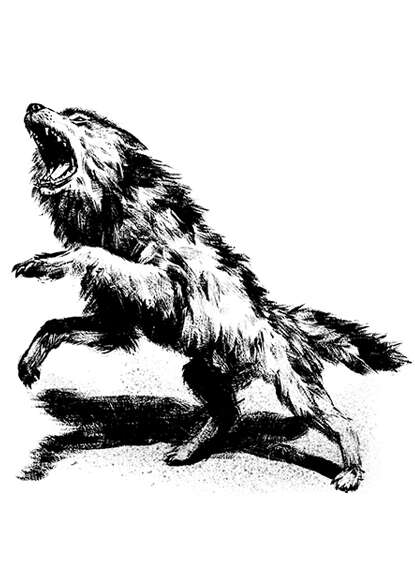 Filler spot - creature: dire wolf attack - RPG Stock Art