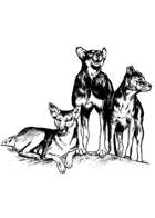 Filler spot - creature: dog pack - RPG Stock Art