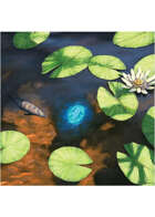 Colour card art - items: gem in pond - RPG Stock Art