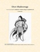 Elven Shadowmage