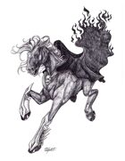THC Stock Art: Nightmare (Horse #6)