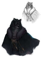 Character stock sketch and color series: Werewolf Noble