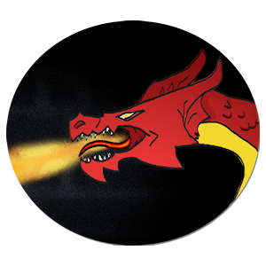 Dragonfire Workshop, LLC