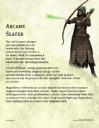 Arcane Slayer Class