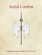 Aerial Combat