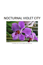Nocturnal Violet City