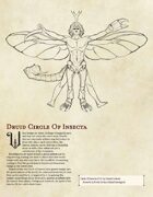 Druid Circle Of Insecta