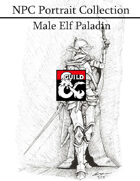 NPC Portrait Collection - Male Elf Paladin