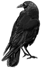 The Raven Warlock Archetype