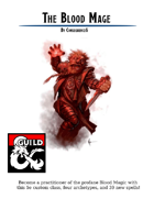 The Blood Mage - An Arcane Intelligence-based caster - Including 4 Archetypes and 39 Custom Spells