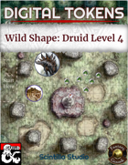 Digital Tokens: Wild Shape, level 4